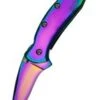 Kershaw Taschenmesser Kershaw Chive, Regenbogenfarben