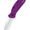 Kershaw Taschenmesser Kershaw Scallion, Lila